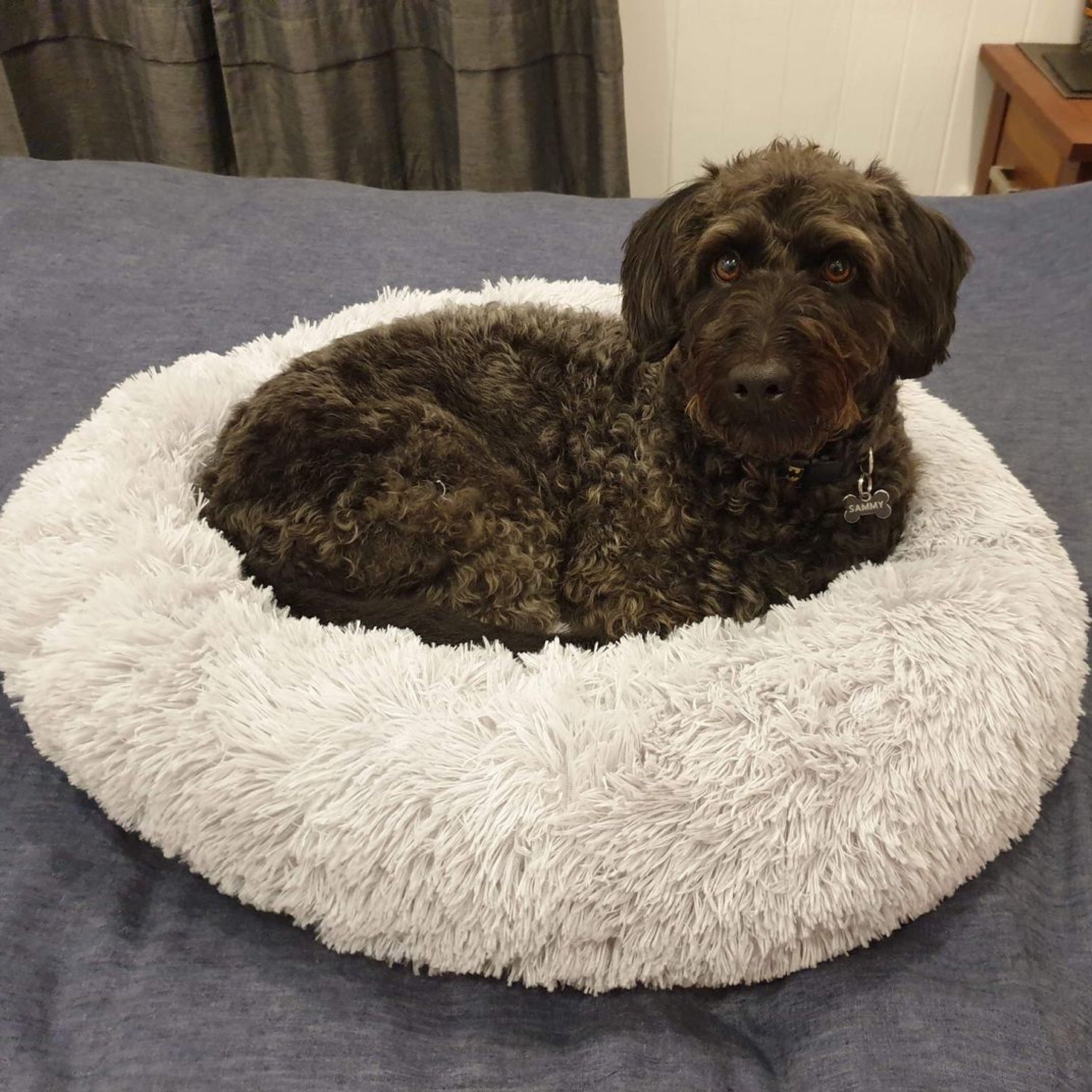 Calming Bed for Dogs