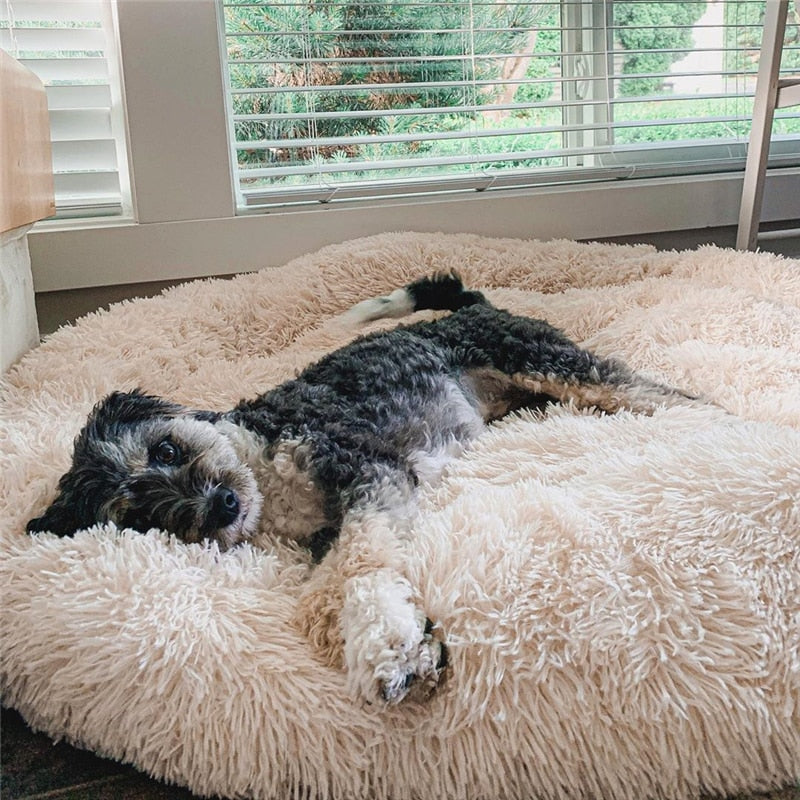 Calming Bed for Dogs