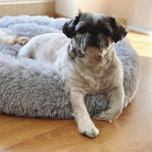 Calming Bed for Dogs